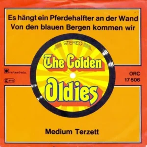 Medium Terzett - Es hängt ein Pferdehalfter an der Wand (RI-nur Cover)