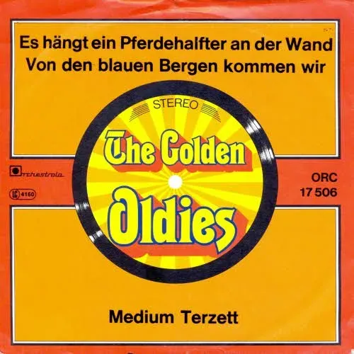 Medium Terzett - Es hängt ein Pferdehalfter an der Wand (RI-nur Cover)