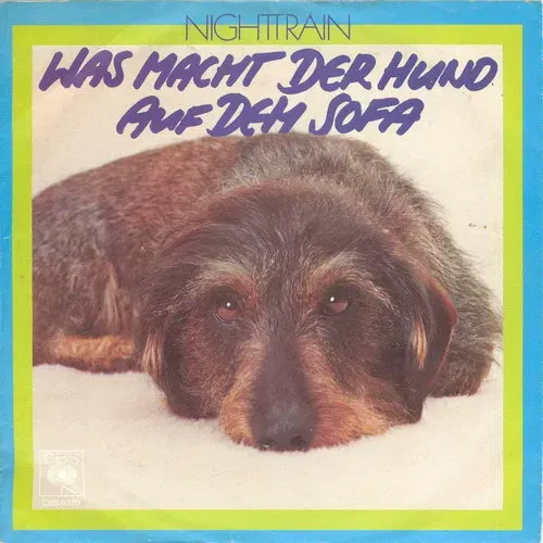 Nighttrain - Was macht der Hund auf dem Sofa (nur Cover)