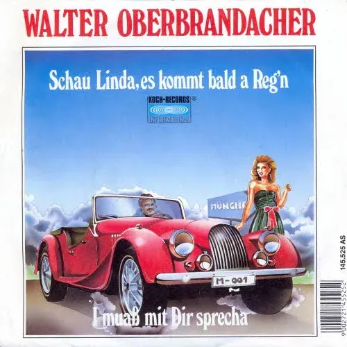 Oberbrandacher Walter - Schau Linda, es kommt bald a Reg'n (nur Cover-AT)