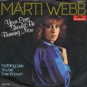 Webb Marti - Your ears should be burning now (nur Cover)