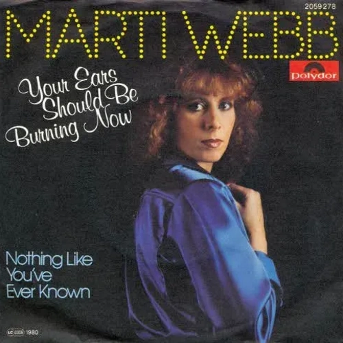 Webb Marti - Your ears should be burning now (nur Cover)