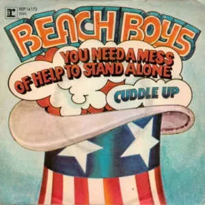 Beach Boys - You need a mess of help to stand alone (nur Cover)