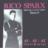 Sparx Rico - Ay-Ay-Ay (What we do for love) (Maxi-Single)
