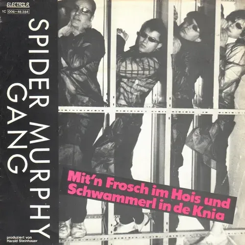 Spider Murphy Gang - Mit'n Frosch im Hois und Schwammerl in de Knia (nur Cover)
