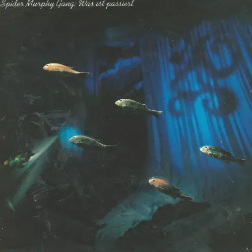 Spider Murphy Gang - Was ist passiert