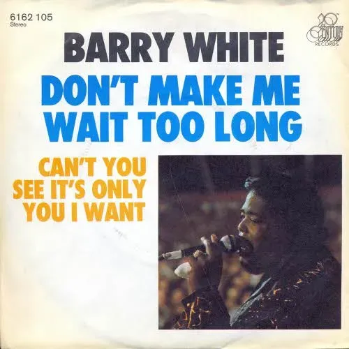 White Barry - Don't make me wait too long (nur Cover)