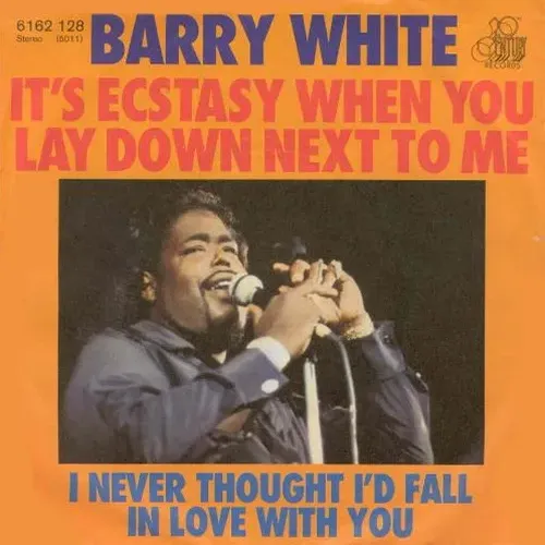 White Barry - It's ecstasy when you lay down next to me (nur Cover)