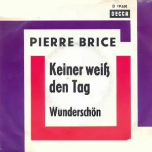 Brice Pierre - Keiner weiss den Tag (diff. Cover)
