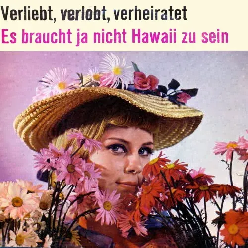 Universum Nr. 79 442 - Verliebt, verlobt, verheiratet / Es braucht ja nicht Hawaii zu sein