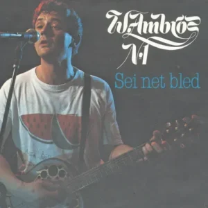 Ambros Wolfgang - Sei net bled (nur Cover)