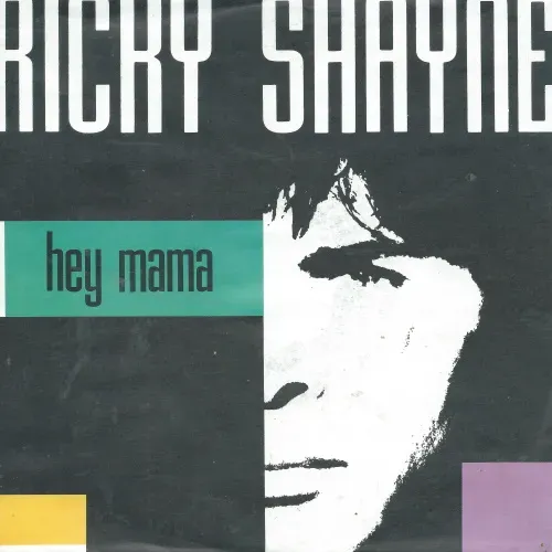 Shayne Ricky - Hey Mama
