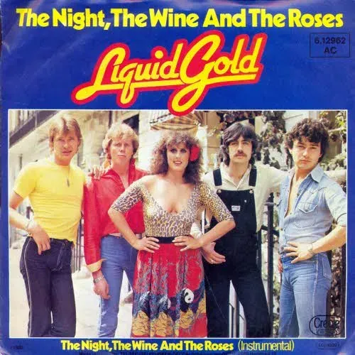Liquid Gold - The night, the wine and the roses (nur Cover)