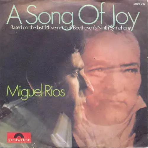Rios Miguel - A song of Joy (nur Cover)