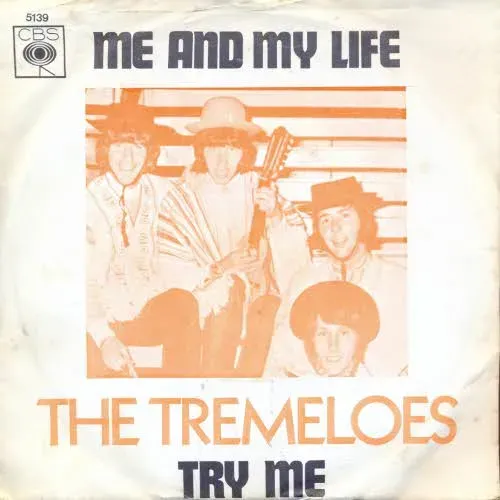 Tremeloes - Me and my life (nur Cover-NL)