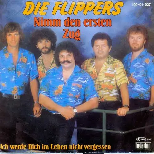 Flippers - Nimm den ersten Zug (nur Cover)