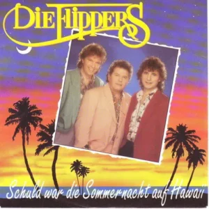 Flippers - Schuld war die Sommernacht auf Hawaii (nur Cover)