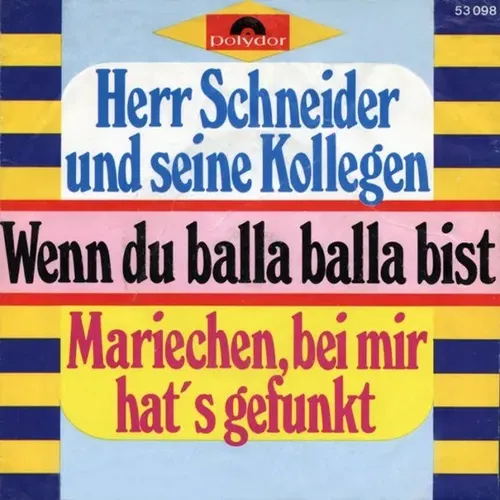 Herr Schneider & Kollegen - Wenn du balla balla bist  (nur Cover)