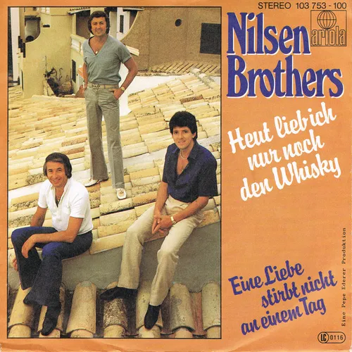 Nilsen-Brothers - Heut lieb ich nur noch den Whisky (nur Cover)