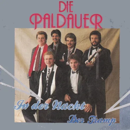 Paldauer - In der Nacht (AT-nur Cover)