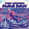 Chris Spedding - Motor bikin' (nur Cover)