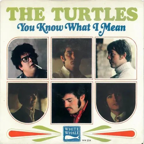 Turtles - You know what I mean (nur Cover-US)