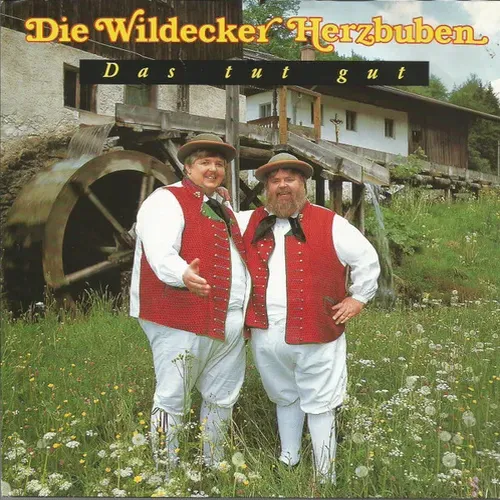 Wildecker Herzbuben - Das tut gut