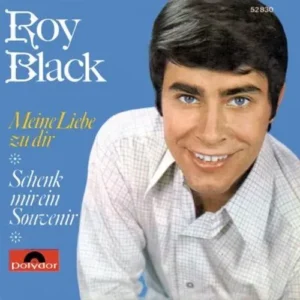 Black Roy - Meine Liebe zu dir (diff. Cover)