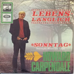 Carpendale Howard - Lebenslänglich (nur Cover)