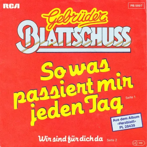 Gebrüder Blattschuss - So was passiert mir jeden Tag (nur Cover)