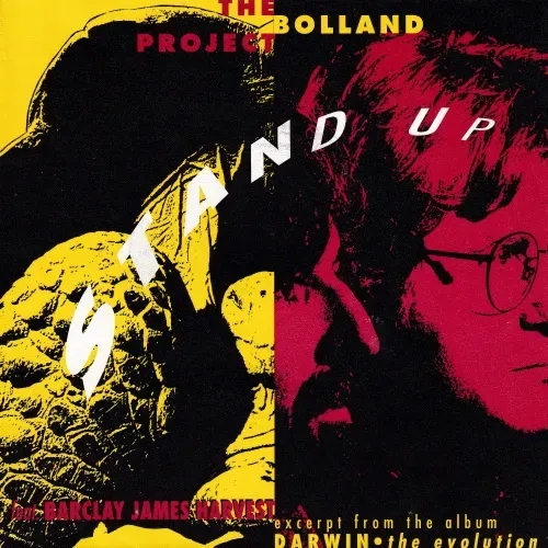 Bolland Project - Stand up (nur Cover)