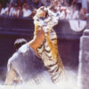 Zimmer Hans / Gerrard Lisa - Gladiator - Filmmusik – Bild 3