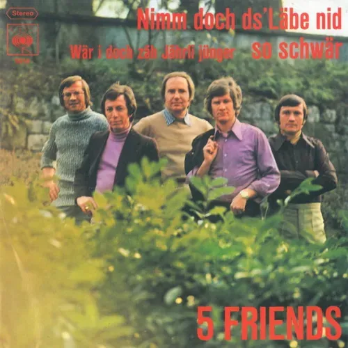 5 Friends - Nimm doch d's Läbe nid so schwär (CH)