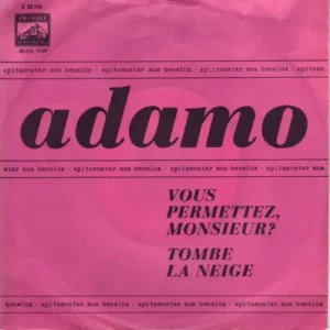 Adamo - Vous permettez, Monsieur
