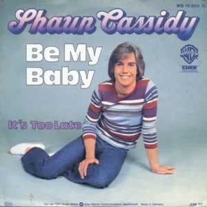 Cassidy Shaun - Be my baby (nur Cover)