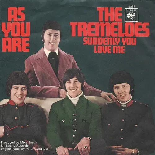 Tremeloes - As you are (nur Cover)