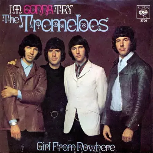 Tremeloes - I'm gonna try (nur Cover)