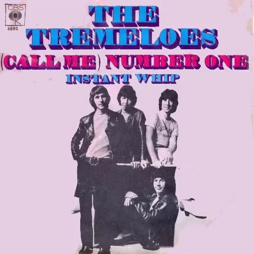 Tremeloes - (Call me) number one (nur Cover)