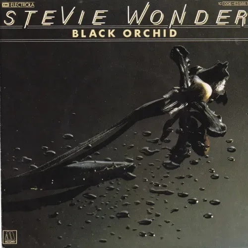 Wonder Stevie - Black orchid (nur Cover)