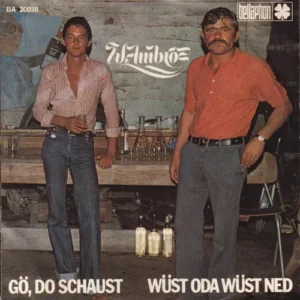 Ambros Wolfgang - Gö, do schaust (AT)