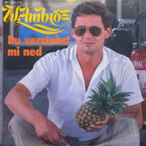 Ambros Wolfgang - Du verstehst mi ned