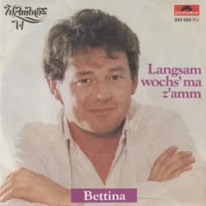 Ambros Wolfgang & No.1 - Langsam wochs' ma z'amm