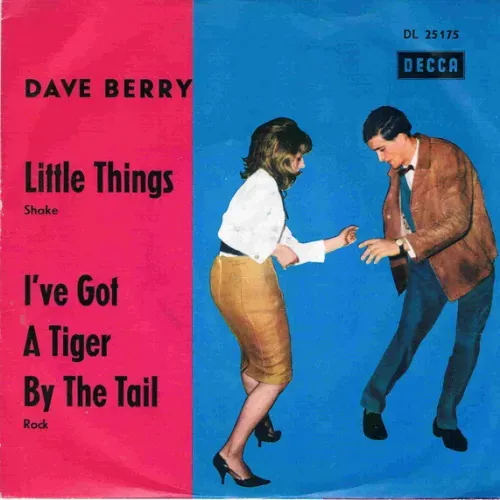 Berry Dave - Little things