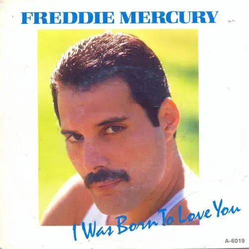 Mercury Freddie - I was born to love you (nur Cover-NL)