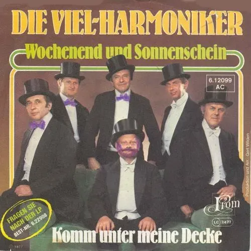 Viel-Harmoniker - Wochenend und Sonnenschein (nur Cover)