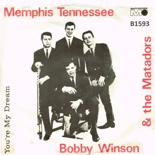 Winson Bobby & Matadors - Memphis Tennessee (nur Cover)