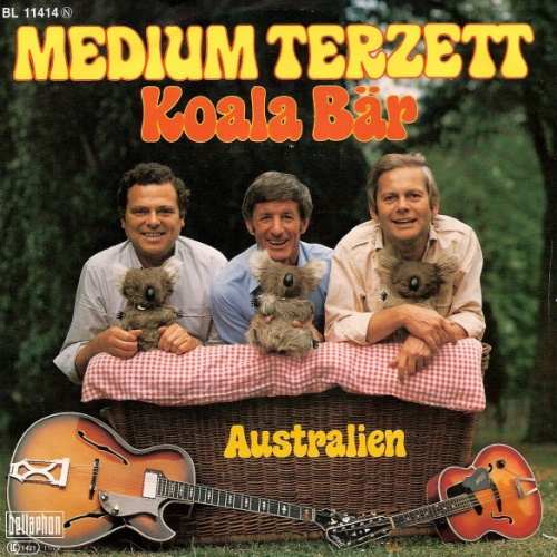 Medium Terzett - Koala Bär