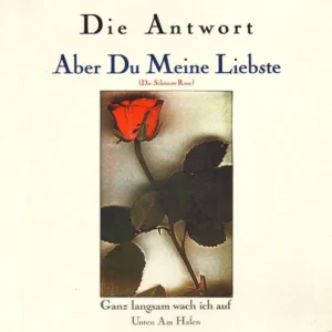Antwort - Aber du meine Liebste