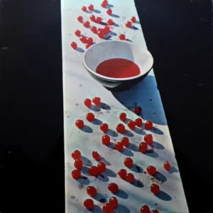 LP Paul McCartney
