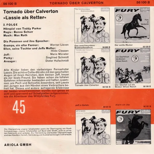 Parker Teddy - Lassie - Tornado über Calverton – Bild 2